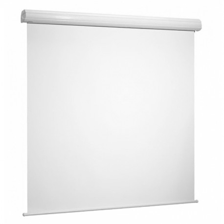 THOR FLEXWHITE No Black Borders 300x300